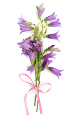 Naklejka na ściany i meble Bell-flowers bouguet