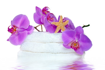 orchids and starfish on towels