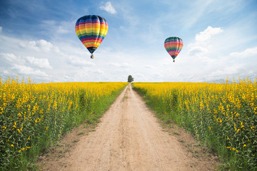 Yellow flower field with a road and balloon on sky