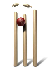 Cricket Ball Hitting Wickets Front Isolated