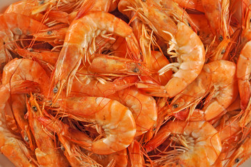 The shrimps