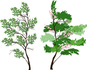 two green small trees illustration