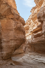 North Africa Mountain oasis Tamerza canyon in Tunisia Tozeur
