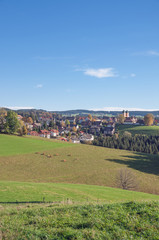 Fototapeta na wymiar Urlaubs-und Wallfahrtsort St.Märgen im Schwarzwald