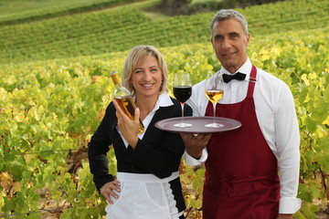 Wine tasting in a vineyard