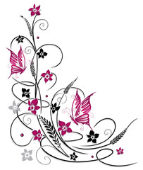 Fototapeta na wymiar Ranke, flora, kwiaty, motyle, czarny, różowy