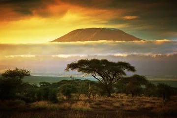 Papier Peint photo Kilimandjaro Le Mont Kilimanjaro. Savane à Amboseli, Kenya