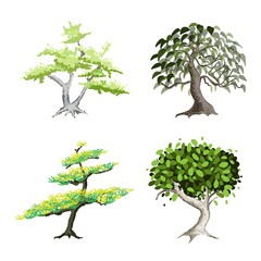 An Isometric Set of Green Trees and Plants