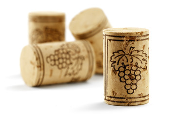 bottle corks isolated
