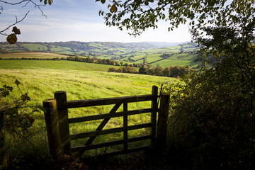 Gate onto Rolling British Countryside