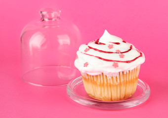 Cupcake on saucer with glass cover, on color background