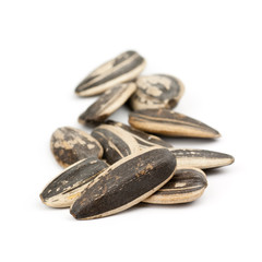 Obraz premium Sunflower seed