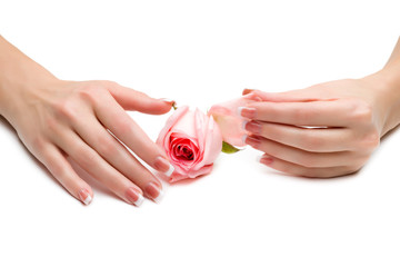 female hand holding the rose