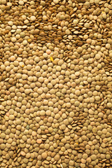 Fototapeta premium Lentils texture