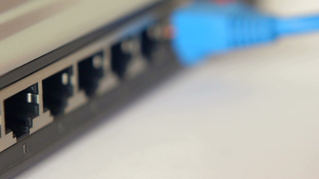 Connecting colored Ethernet cables.