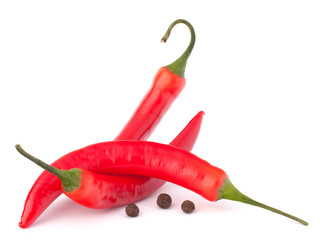 Hot red chili or chilli pepper still life