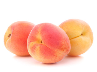 Ripe apricot fruit