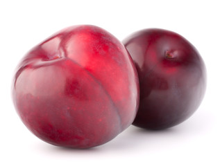 Obraz premium Ripe plum fruit