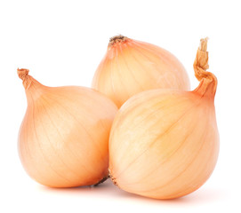 Onion vegetable bulbs