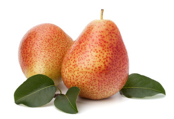 Pear fruits