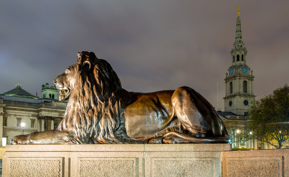 Lion In London