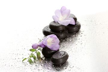 Obraz na płótnie Canvas Spa kamienie i fioletowy kwiat, na mokrym tle