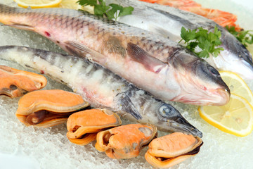 Fresh seafood on ice