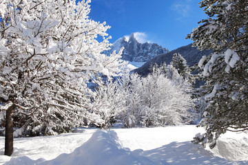 snowy branches on the background of the Alps