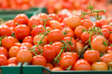 Bunch of tomatoes in plastic boxes in supermarket
