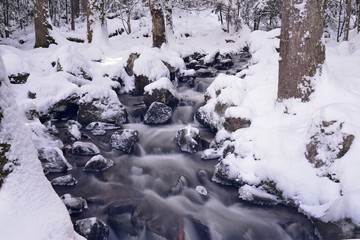 Riviere en hiver