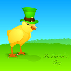 Cute little chick wear leprechaun hat for Happy St. Patrick's Da