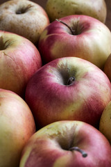 apples close up