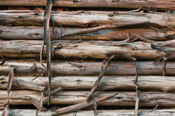old cut tree logs piled up, Cloese up