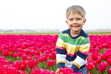 Boy In Tulip Field