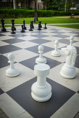 The chess