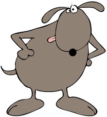 Wary dog