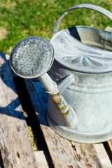 Old metal watering can in focus