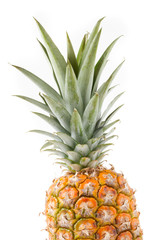 Fototapeta premium fresh pineapple detail on white background