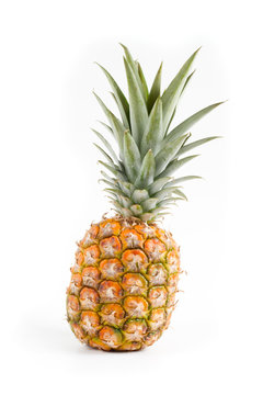 fresh pineapple detail on white background