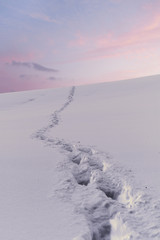 Spuren im Schnee