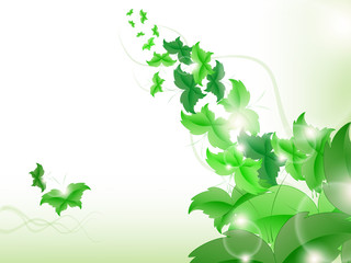 Environmental Background with green leaf butterflies