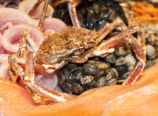 Fresh fish fillets, crabs, shells, tasty decorated