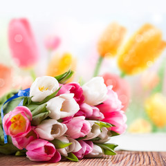 Tulpen vor Frühlingshintergrund