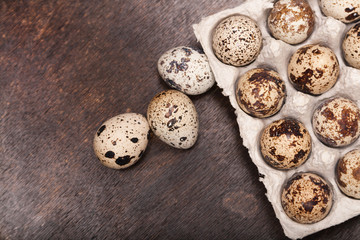 many fresh speckled quail eggs in cardboard container