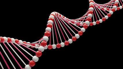 DNA Close-up