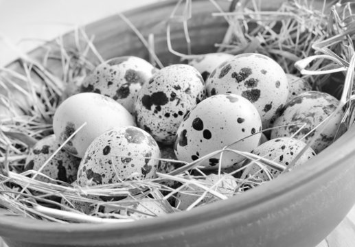 raw guail eggs