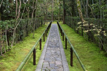 Zen garden in Japan - Daitoku ji in Kyoto