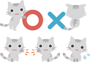 ○か×かを知らせる猫