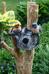 The house for birds with a drinking bowl.