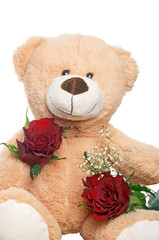 Teddy with red roses